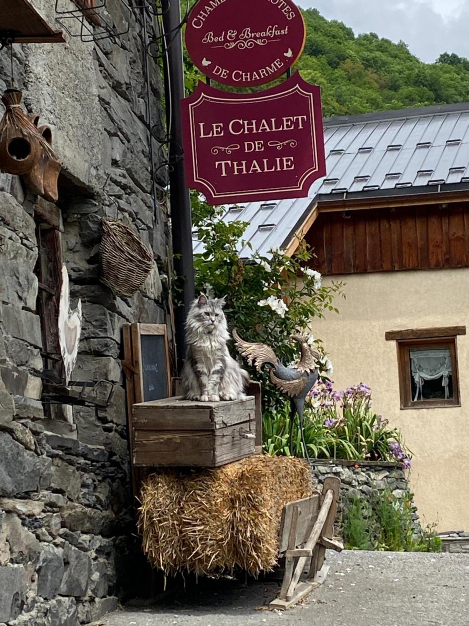 Le Chalet De Thalie Bourg-Saint-Maurice Exterior foto